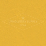 Softside Vinyl - Zander