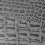Exotic Aqualine Crocodile Textured Vinyl