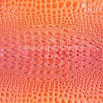 Exotic Keys Gator Textured Vinyl